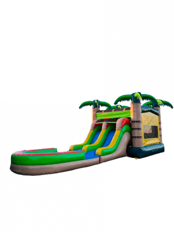 Palm Tree Bounce House Combo